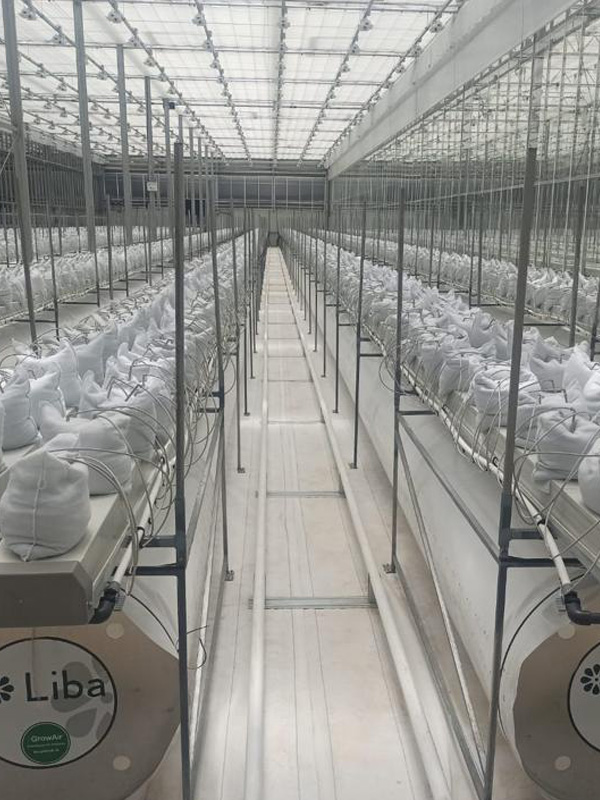 Turnkey Medical Cannabis – Israel